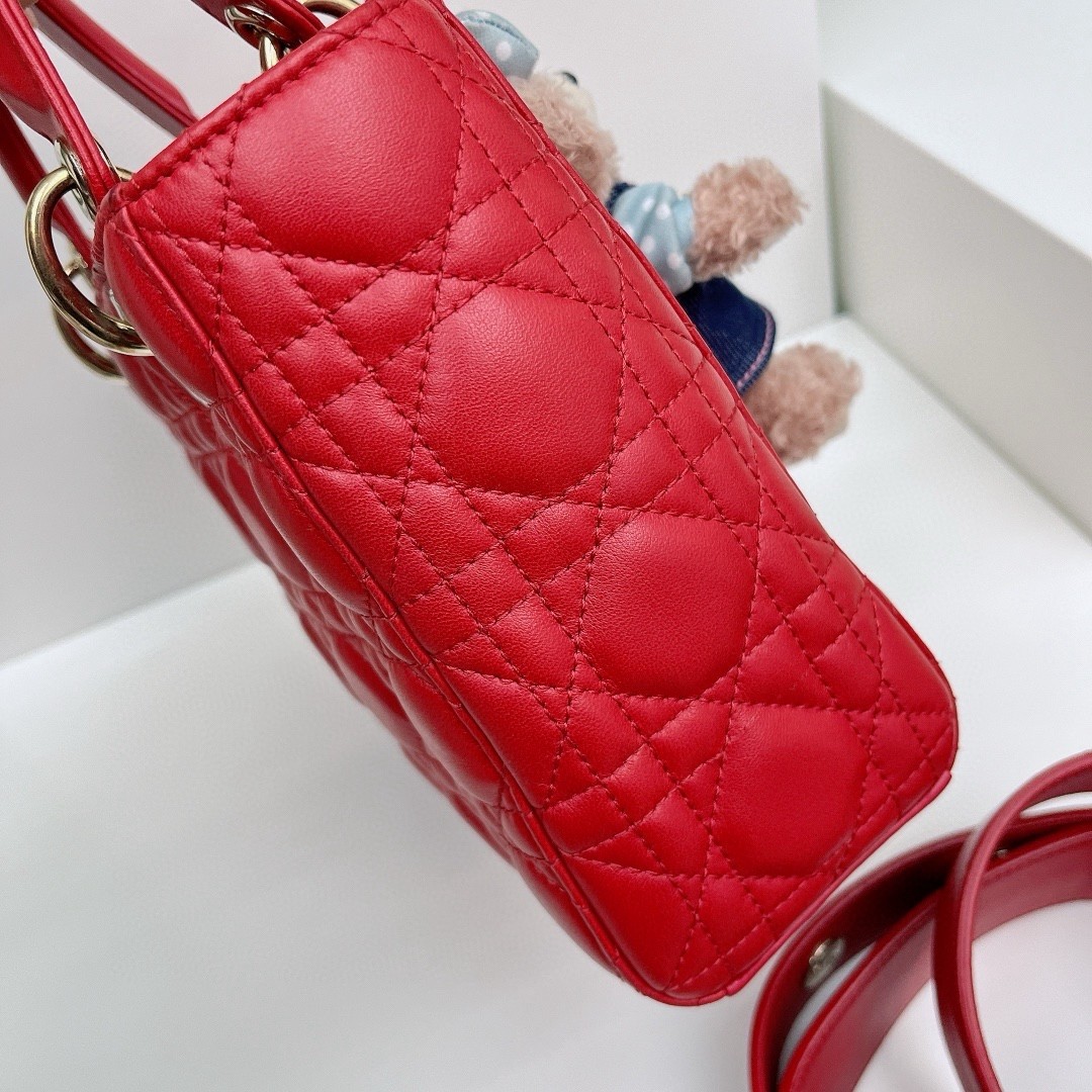 Dior Pre-Owned Authentic Lady Dior Top Handle 20*17*88 Free Tracked Shipping