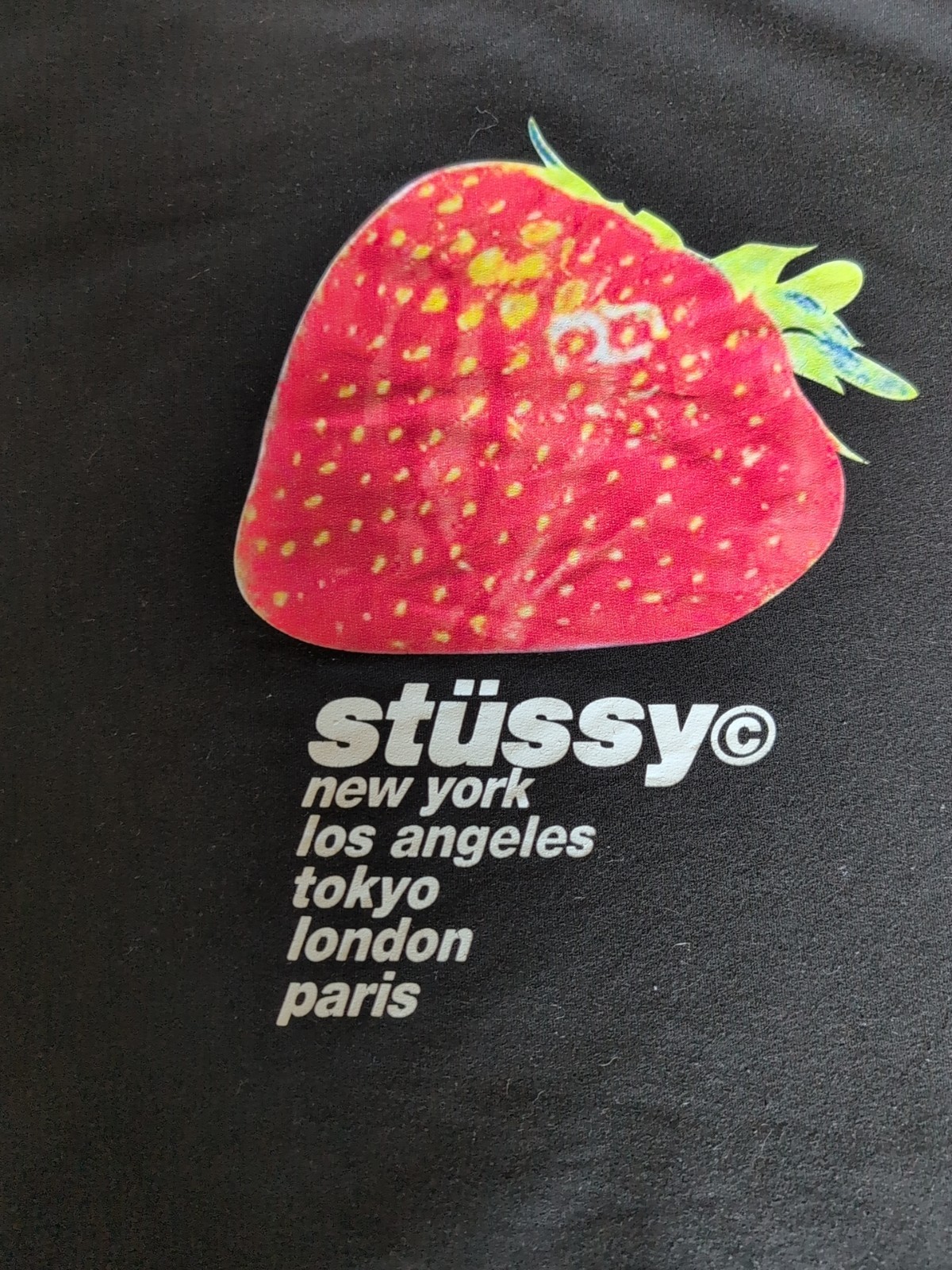 Authentic Stüssy “Strawberry” Graphic Pullover Hoodie (Spring/Summer 2022) Large