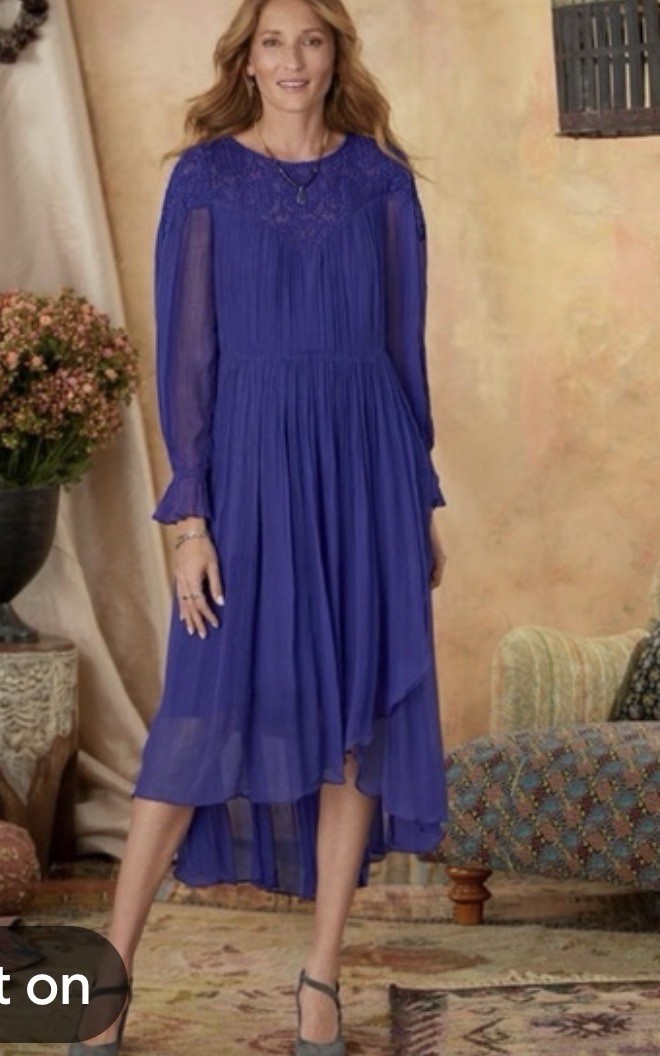Sundance Woman’s Embroidered Long Ruffle Purple NWT Chiffon Maxi Dress Medium