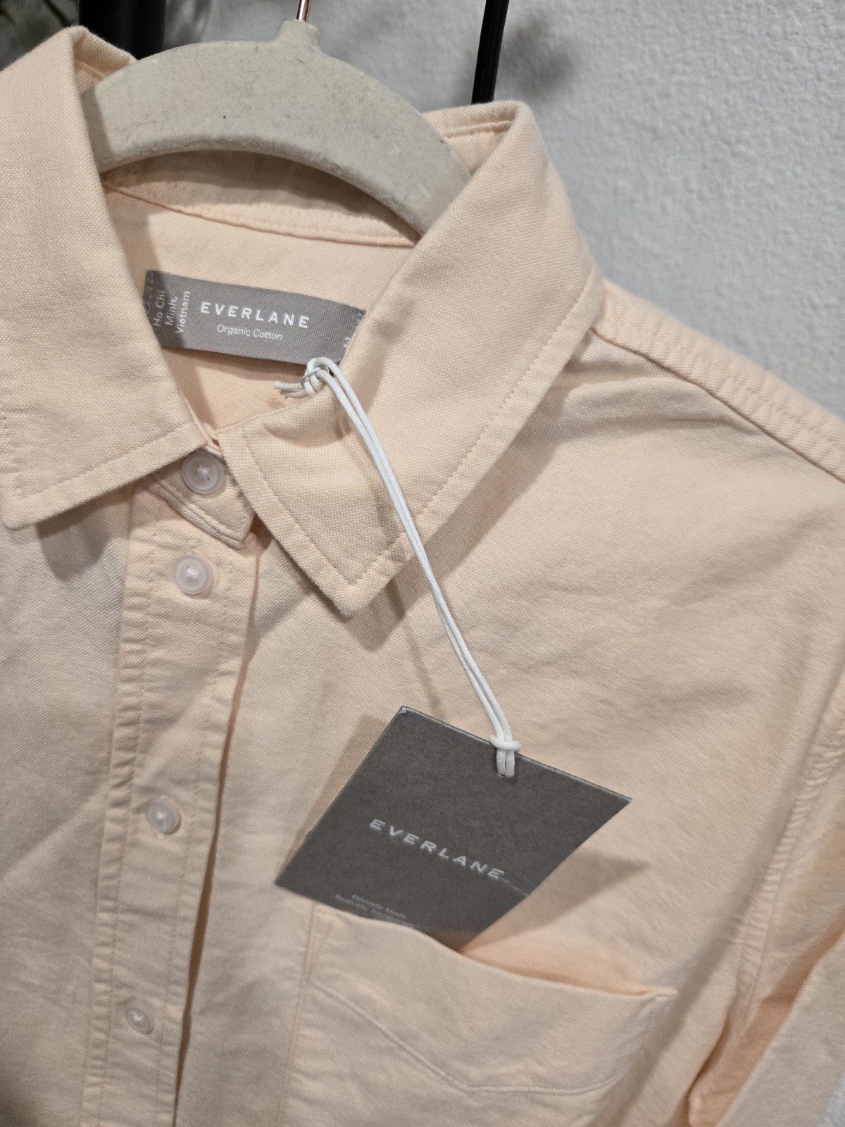 Everlane The Relaxed Oxford Shirt Apricot SZ 2
