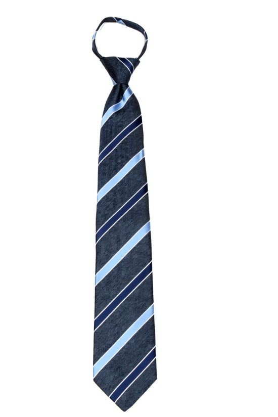 Men’s Stripe XL Extra Long Pretied Zipper Necktie Formal Weddings Business Prom
