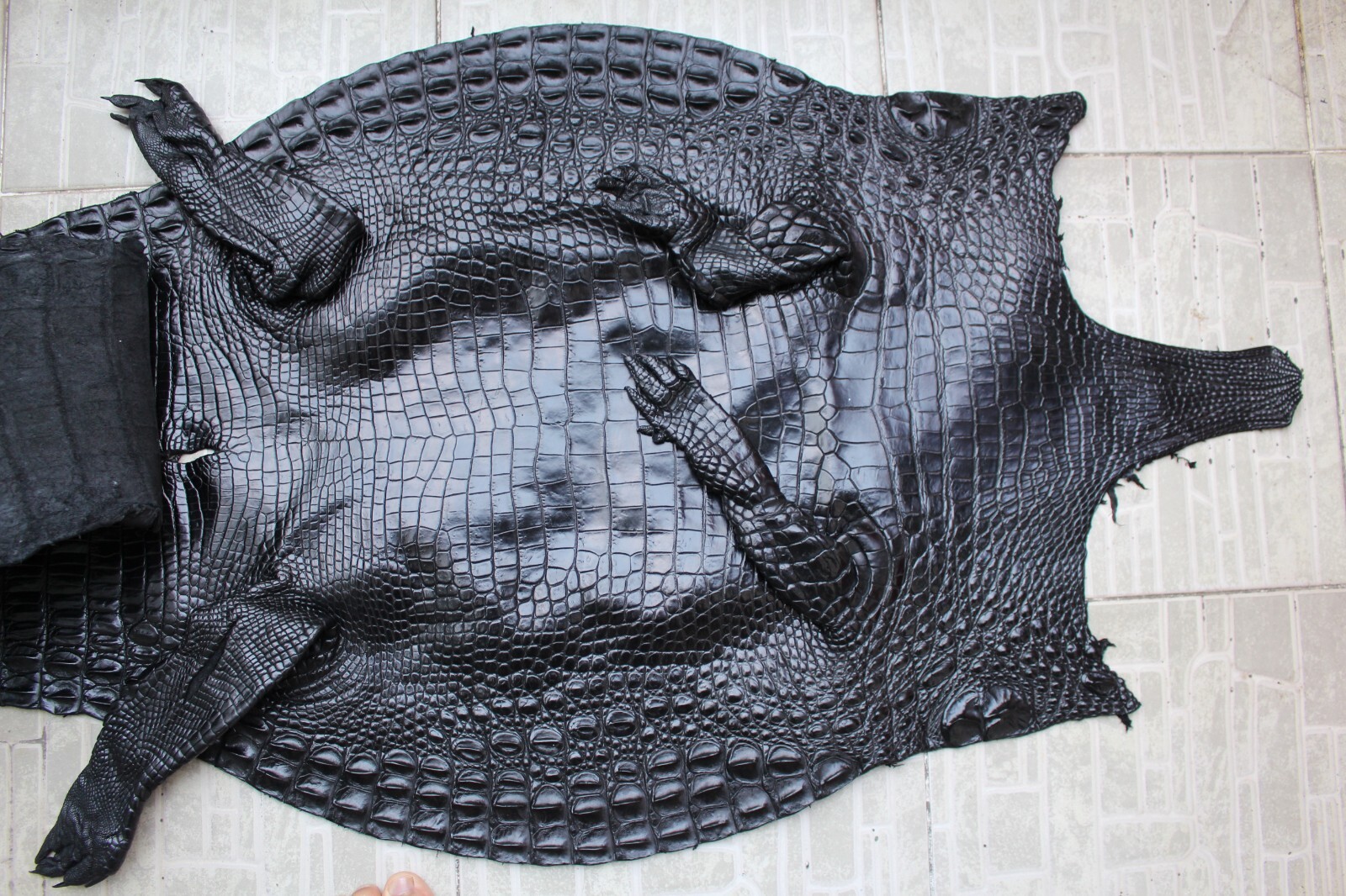 Black Genuine CROCODILE Hornback LEATHER Skin Men’s Belt -W 1.3 inch # C21