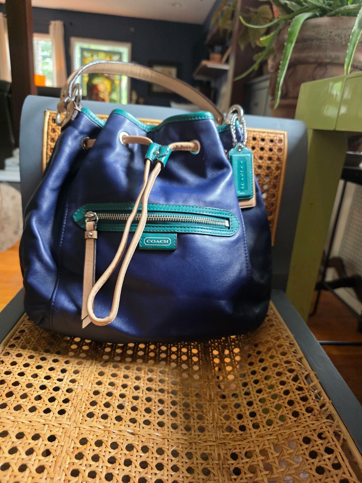 Coach Daisy Leather Drawstring Shoulder Bucket Bag Blue Green Tan Colorblock