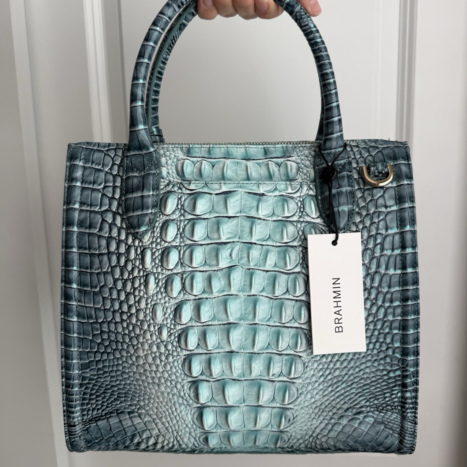 Brahmin Small Caroline Spearmint Green Ombre Satchel Handbag