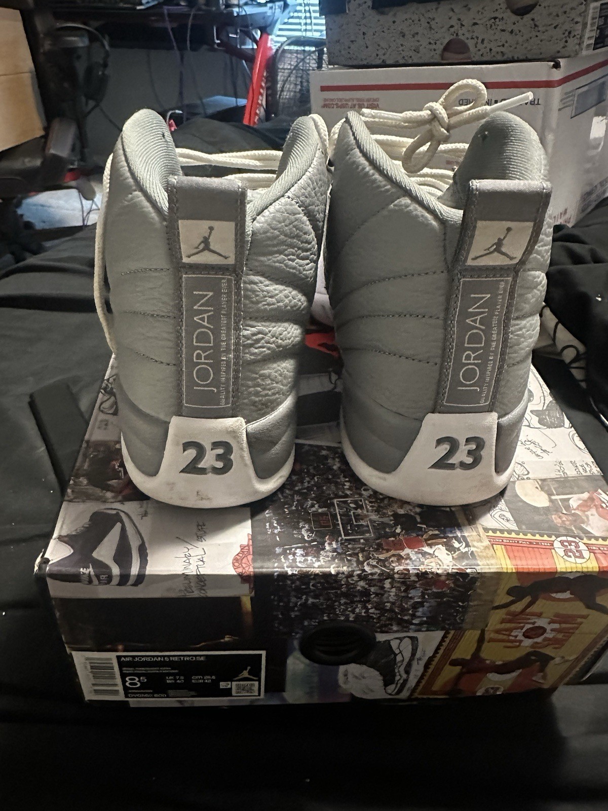 Jordan 12 Stealth Men’s