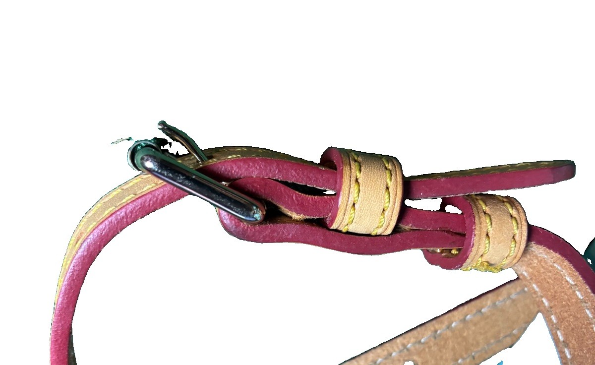 Dooney & Bourke Y2K Light Blue Patent Leather Satchel Bag Red Trim Crossbody