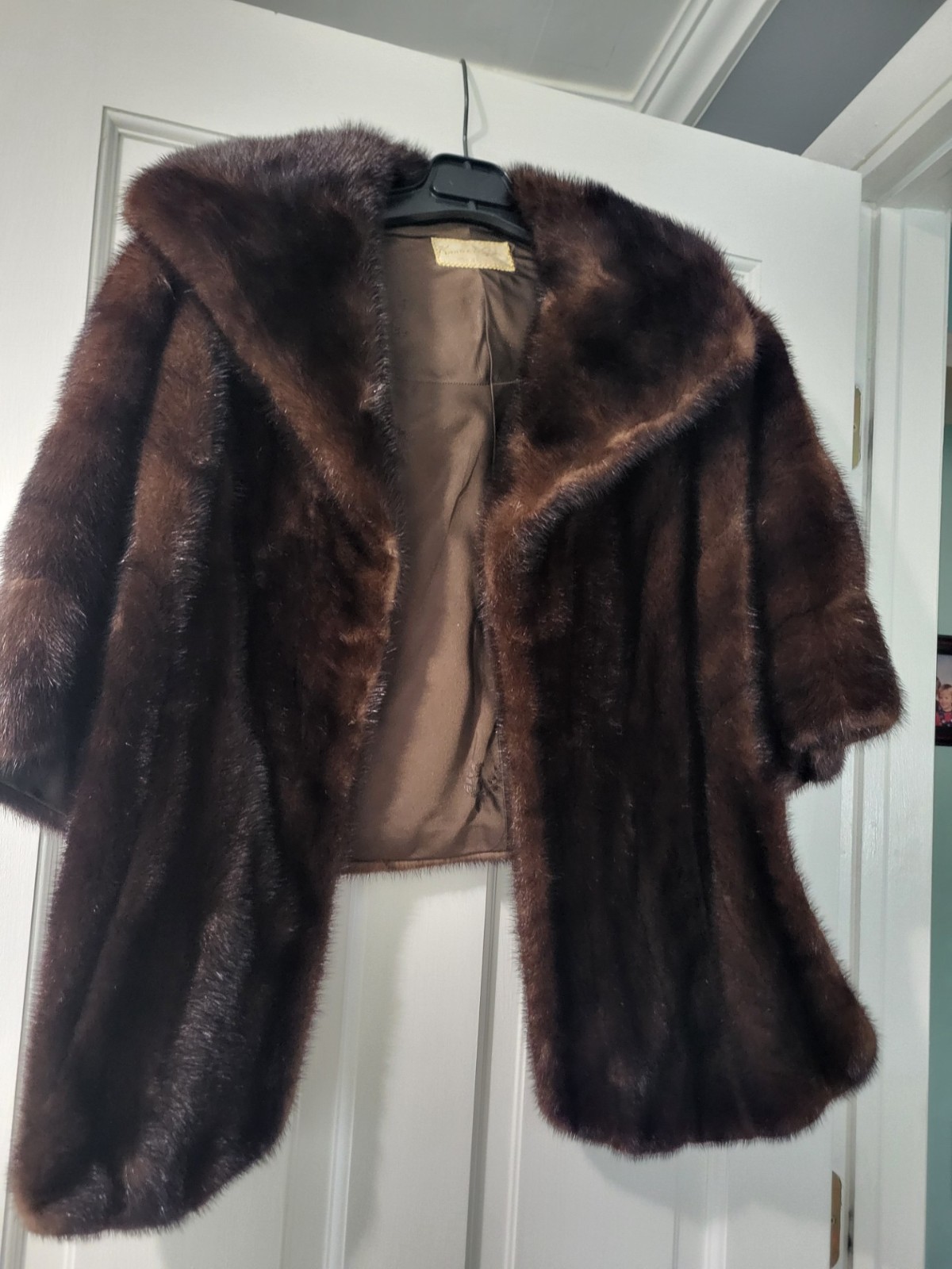 Vintage Genuine Brown Mink Fur Wing-Collar Stole – Raised Collar