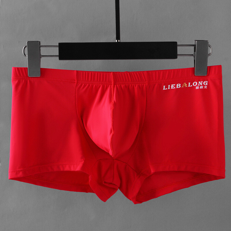 Men’s Underwear Boxer Briefs Ice Silk Shorts Panties Bulge Pouch Underpants 🔥