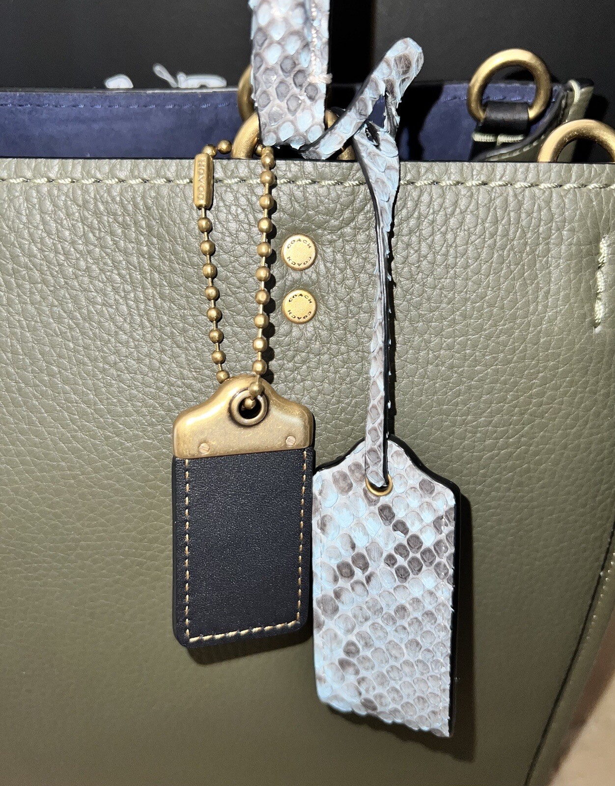 Coach 1941 MTO Rogue Bag In Colorblock With Snakeskin Detail, Style 59997, NWT!