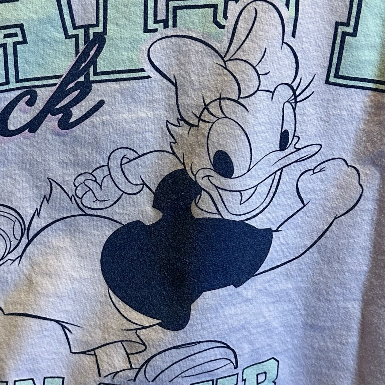 Disney Daisy Duck Chasing Dreams Pink Hoodie Women’s Size XL Front Pocket