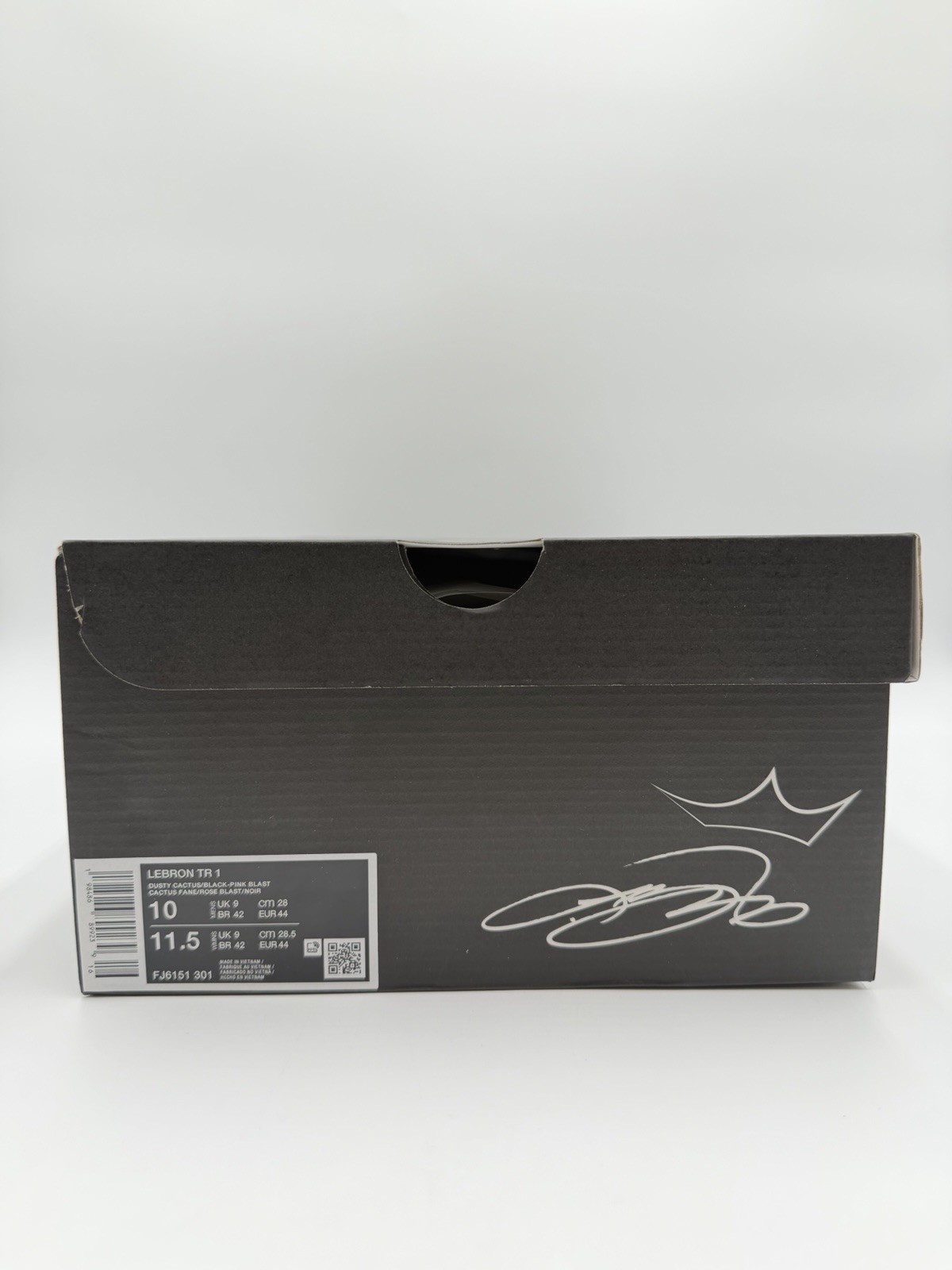 Nike Men’s Lebron TR 1 Basketball Size 10 South Beach |FJ6151-301|