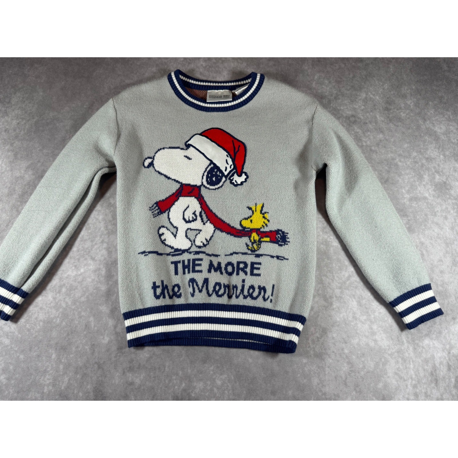 Peanuts Snoopy Woodstock Christmas Sweater Kids XS 5/6 Gray The More the Merrier