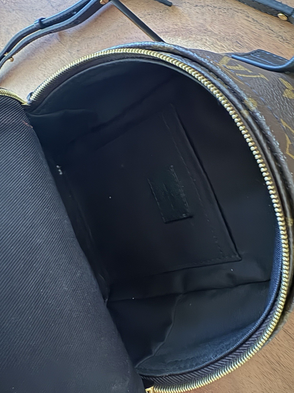 Louis Vuitton Palm Springs Backpack Mini Brown Canvas Monogram