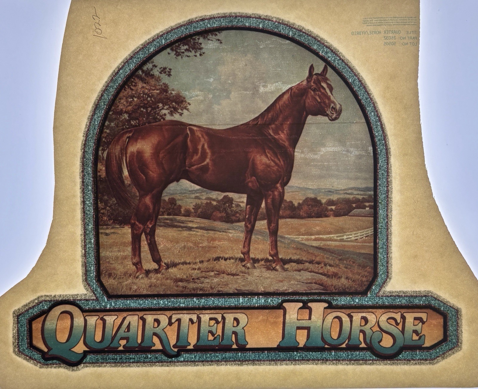 Original Vintage Quarter Horse Glitter Iron On Transfer