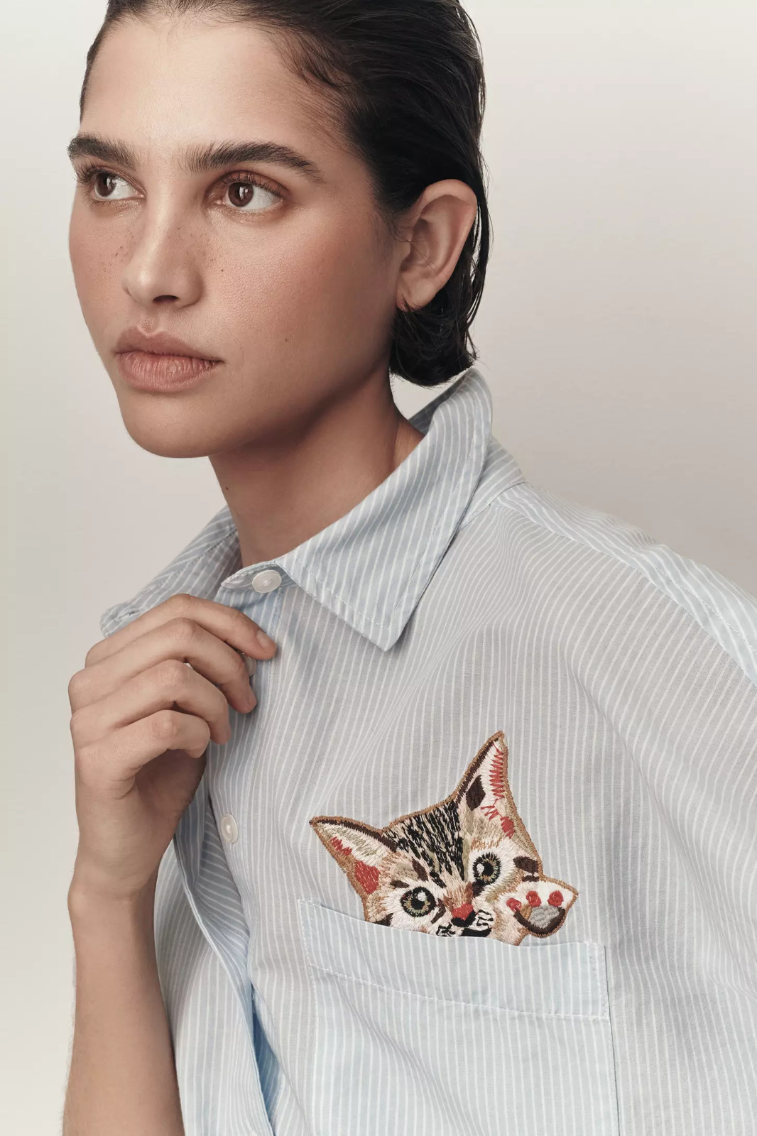 Anthropologie Maeve Mabel Boxy Oxford Embroidered Shirt Blue Stripe Cat S NEW