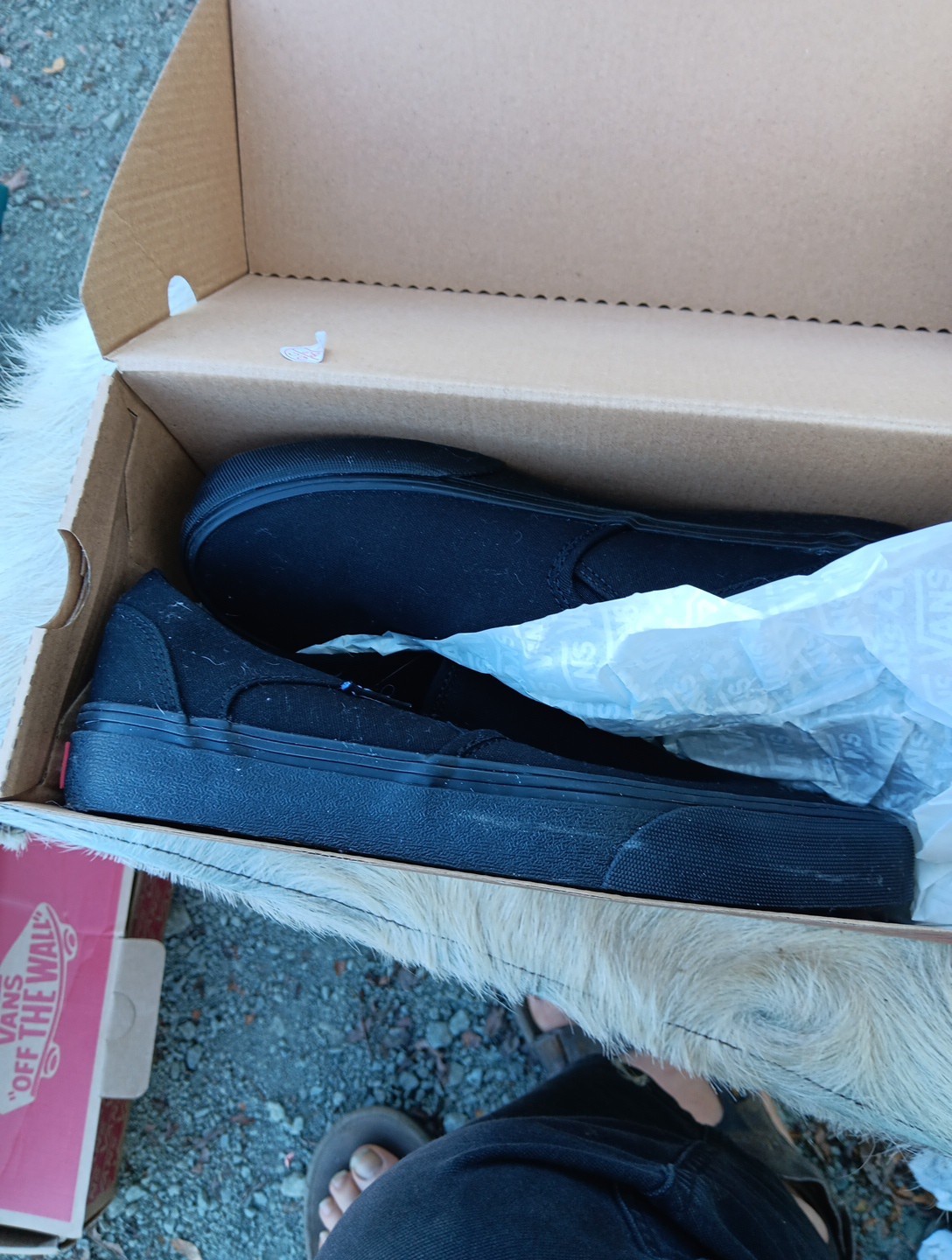 Size 8.5 – VANS Asher Triple Black