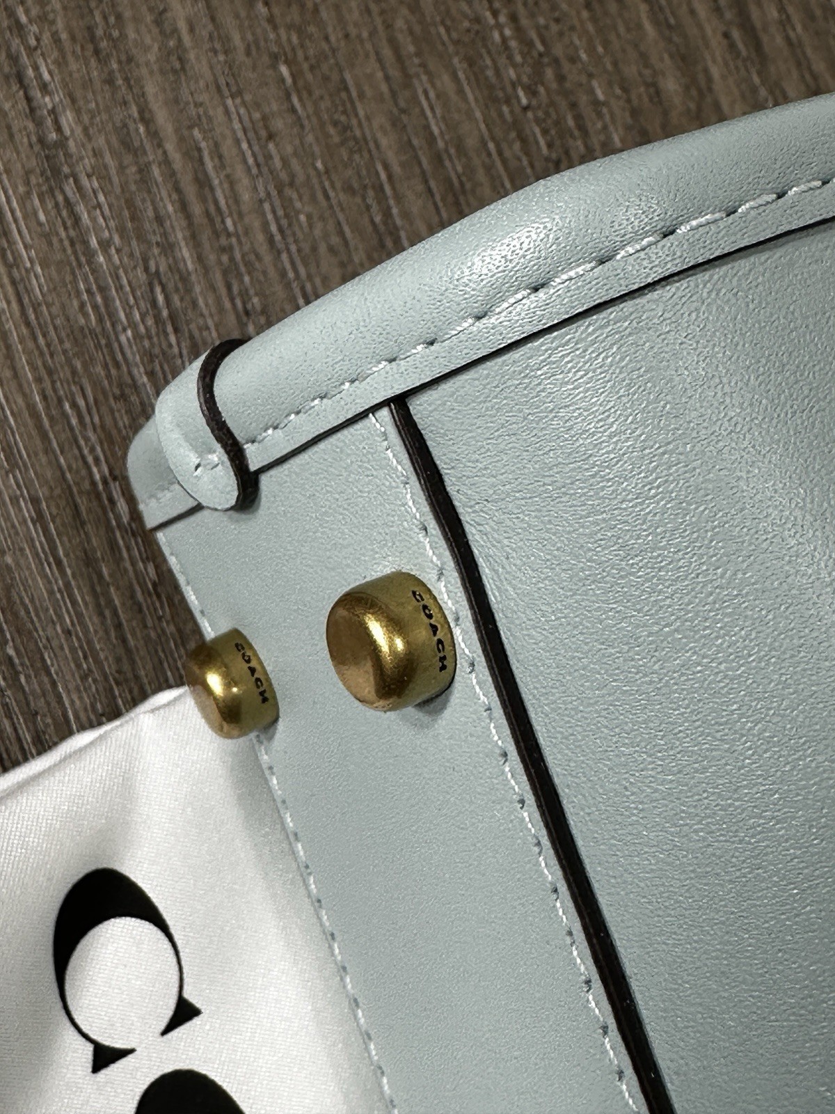Coach Swing Zip Bag 20 in Light Blue Glovetanned Leather CAM45 NWT