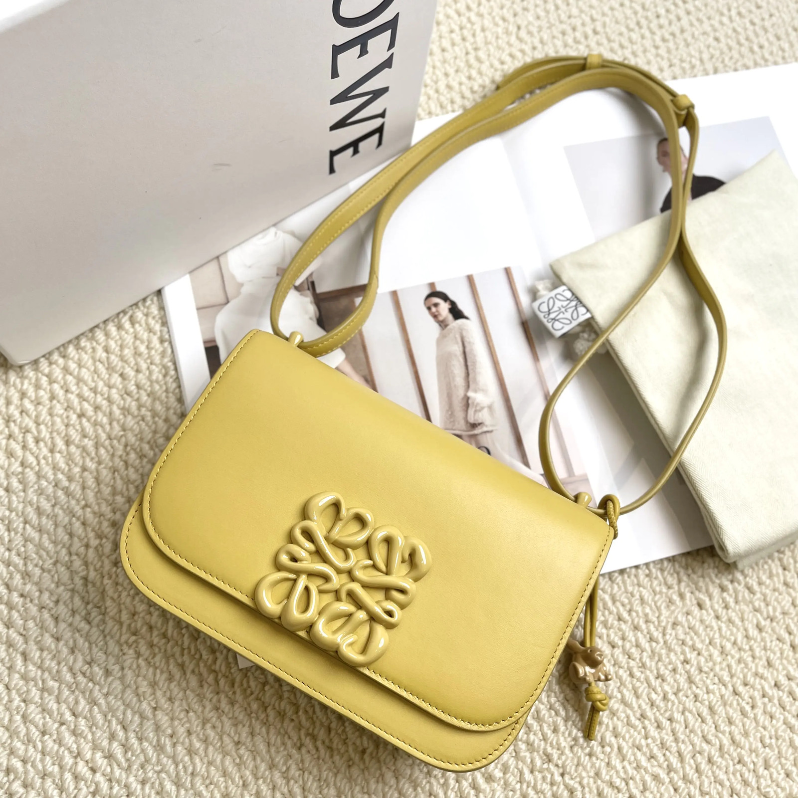 Loewe Goya Leather Yellow Glaze Small Shoulder Bag