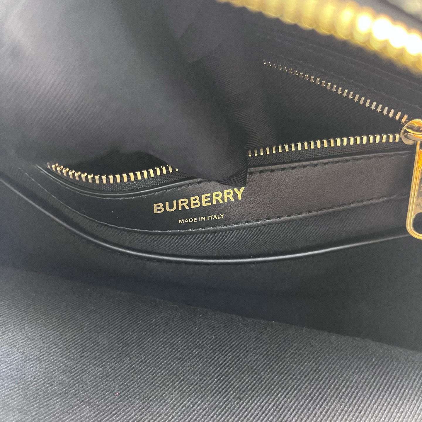 Authentic Burberry Classic Monogram Backpack Coated Canvas Backpack Brown eBay