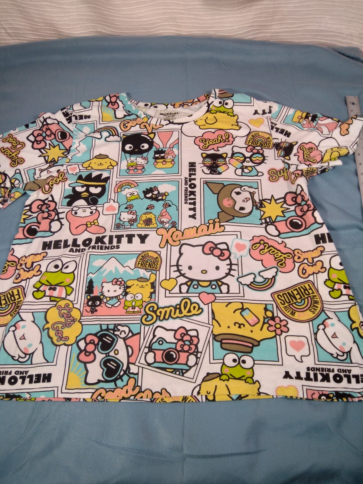 SANRIO HELLO KITTY AND FRIENDS WOMEN’S PLUS T-SHIRT CARTOON GRAPHICS 3X