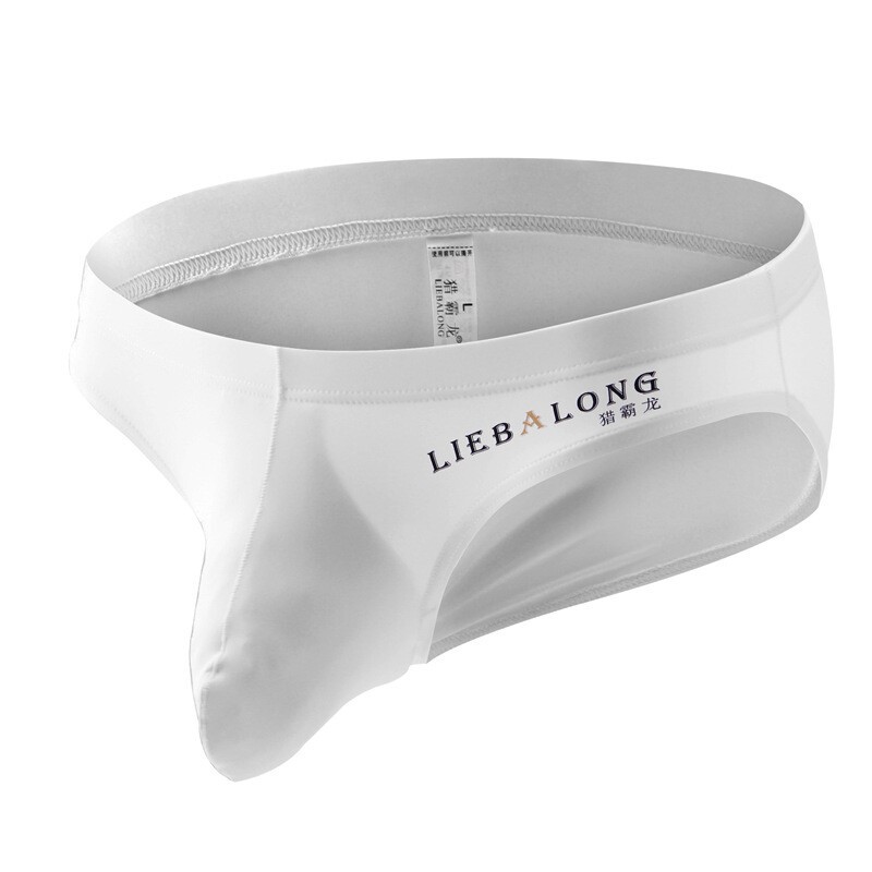 Mens Ice Silk Briefs Sexy Low Waist Bikini Panties Pouch Breathable Underwear US