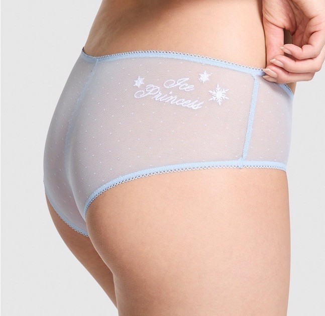 VICTORIA’S SECRET PINK Wink Cheeky Mesh Panty VS Icy Blue Mes XSMALL