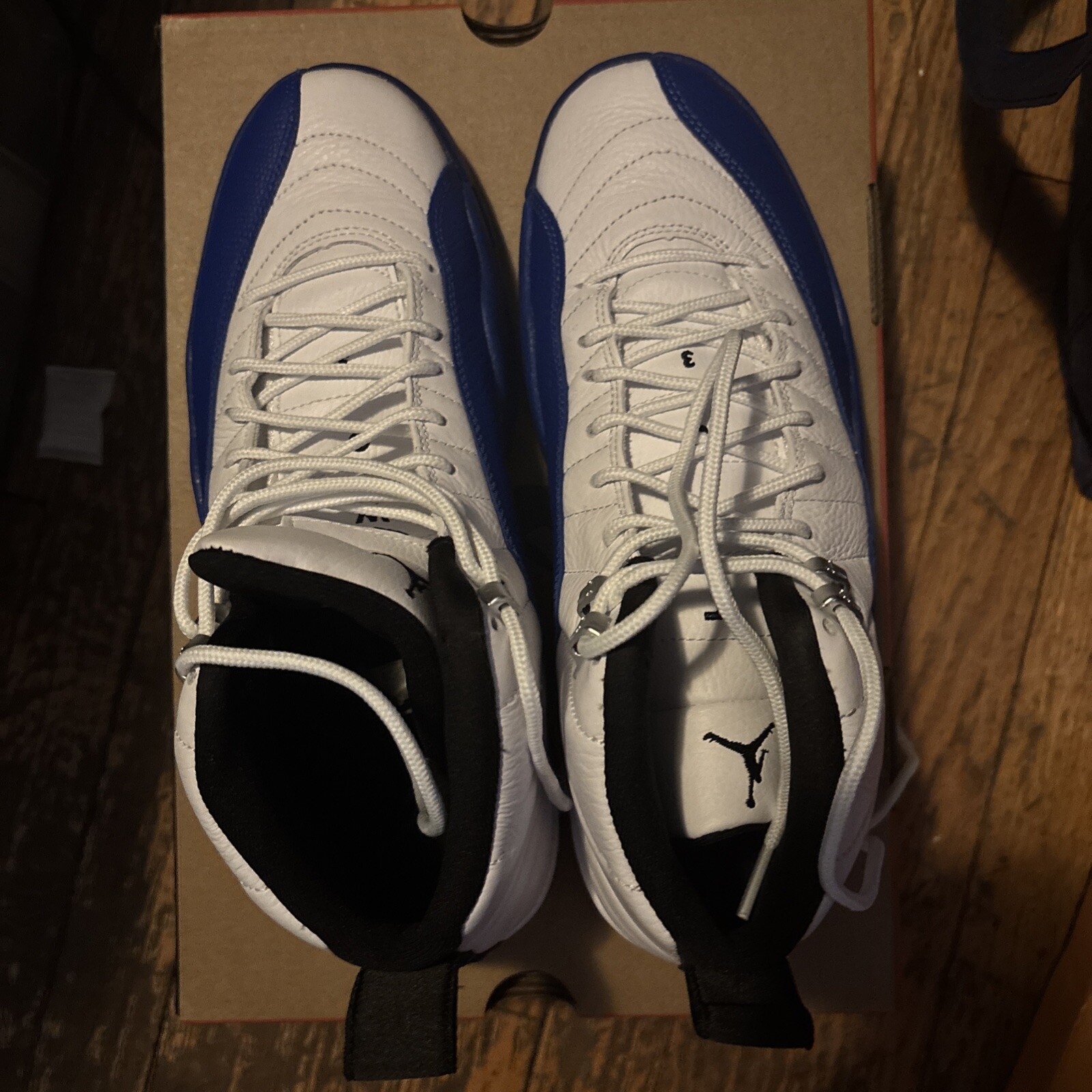 Air Jordan Retro 12