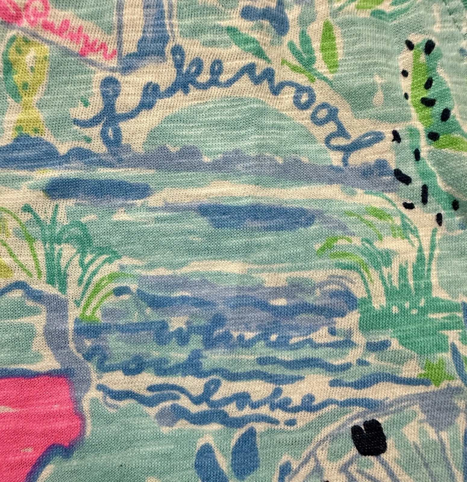 NWOT Lilly Pulitzer Etta V Neck Top L Lilly Loves Texas Destination Print