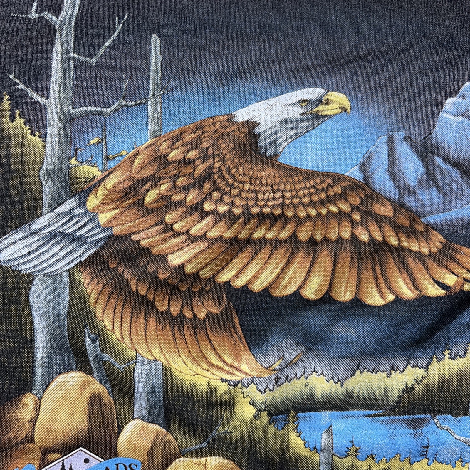 3D Emblem T-shirt Backroads Eagle Graphic 1988 Sz Médium Vtg