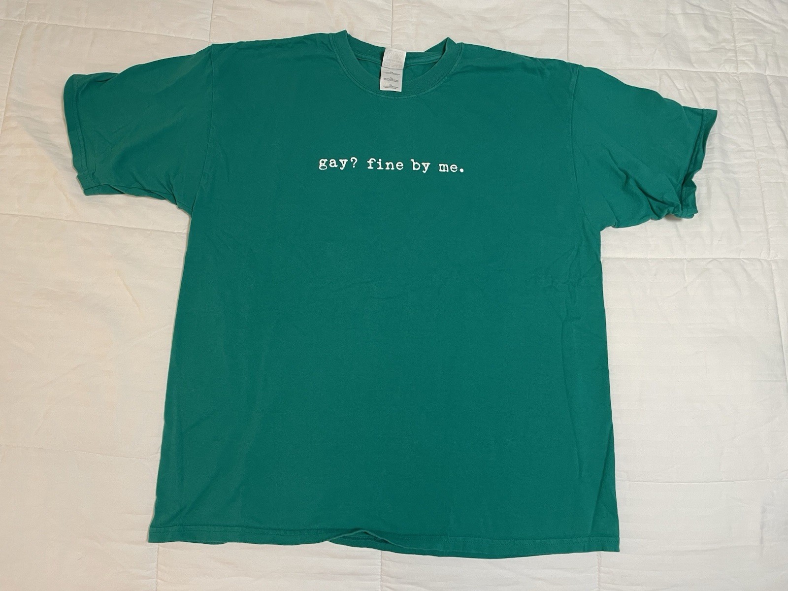 Vintage Y2k “Gay? Fine By Me” Comedy Humor Novelty Green T Shirt XL 2000s EUC