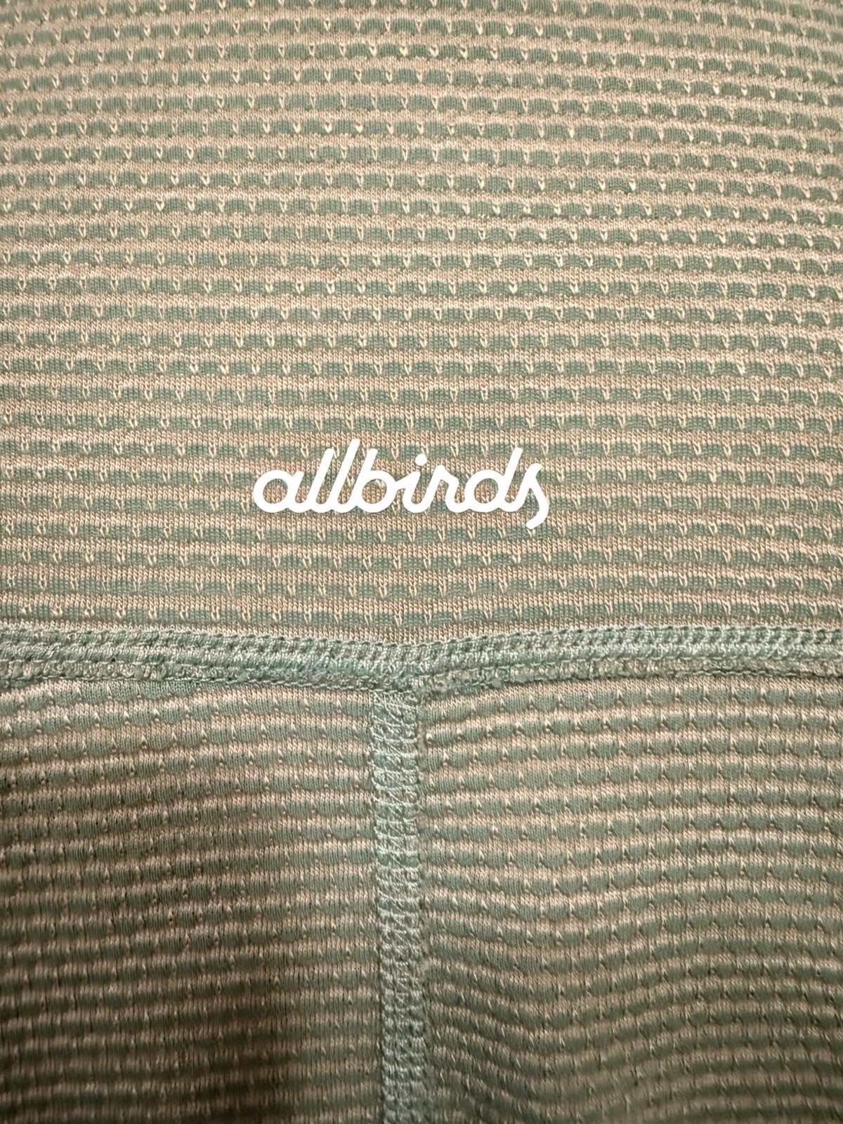 Allbirds Natural Run Tee T-Shirt L Green Striped SS Crew Lightweight Logo