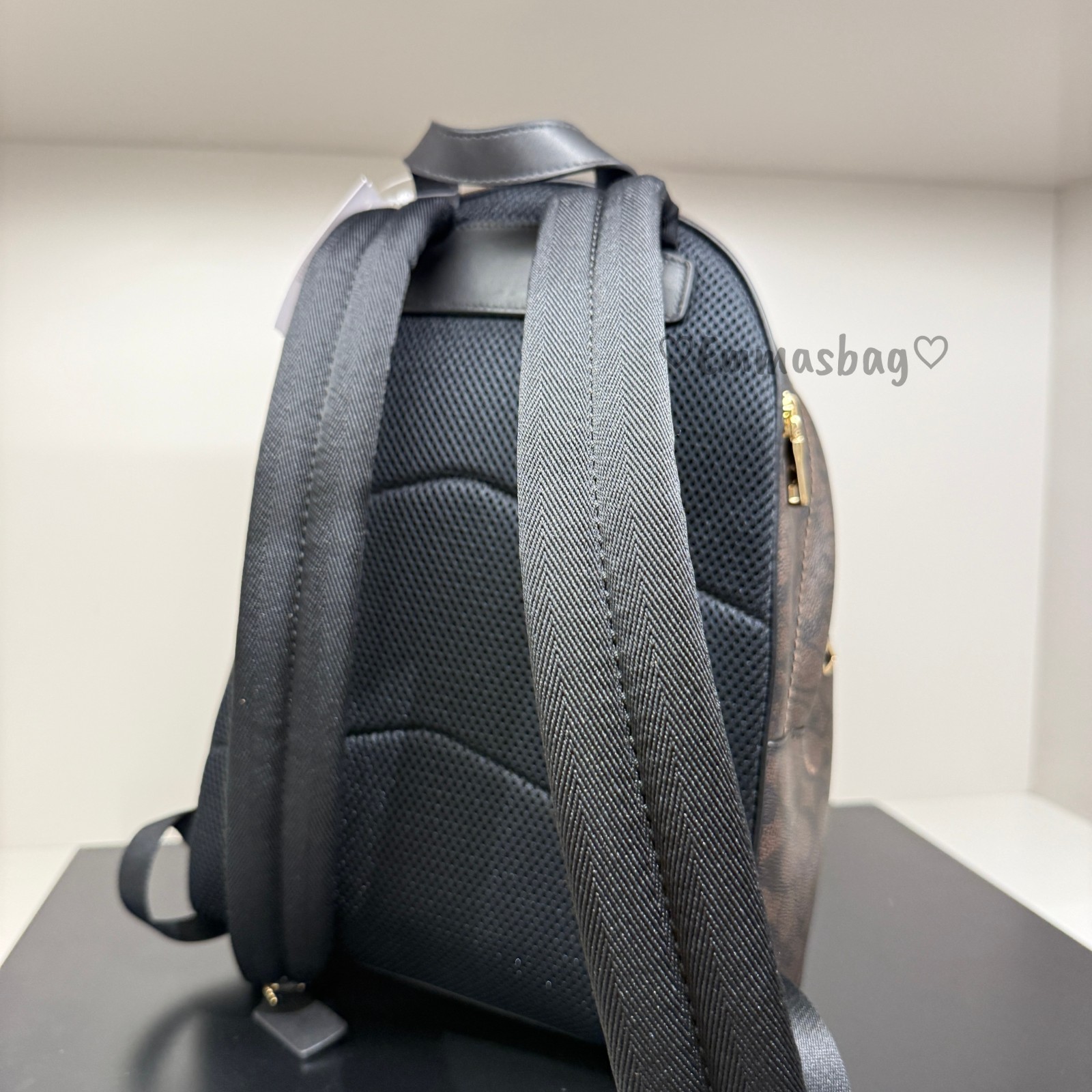 NWT Coach Taylor Small Backpack In Signature Canvas CDW76 WALNUT/BLACK