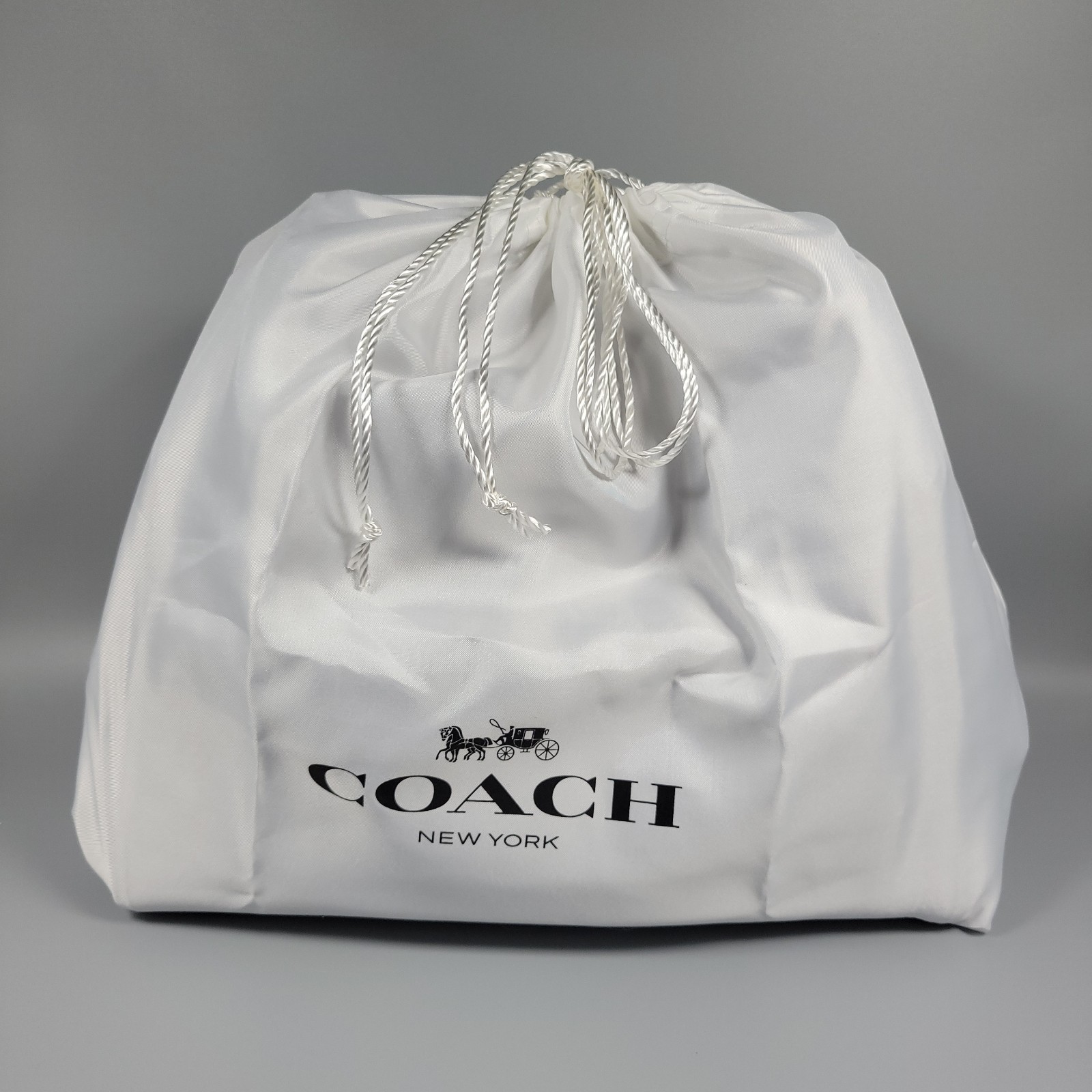 Coach Lori Shoulder Bag Washed Chambray Blue Pebble Leather Purse + Dust Bag