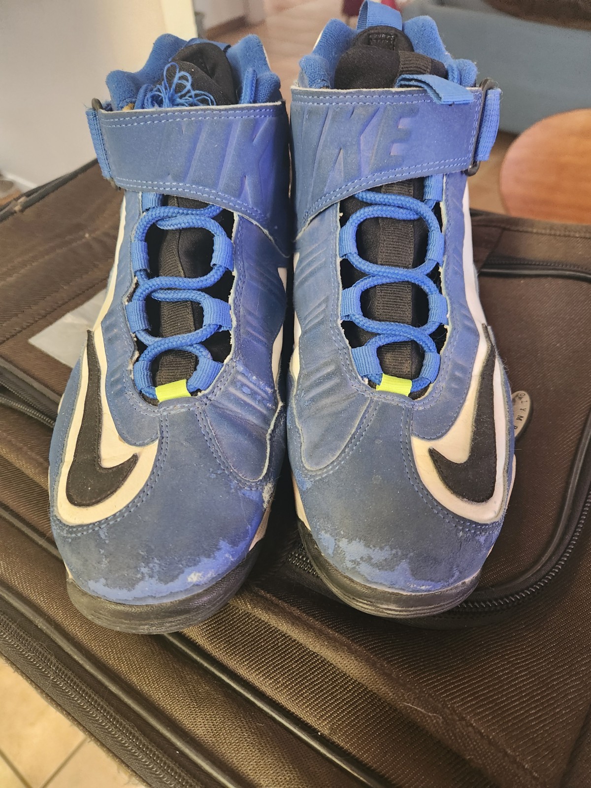 Size 9.5 – Nike Air Griffey Max 1 2021 Varsity Royal