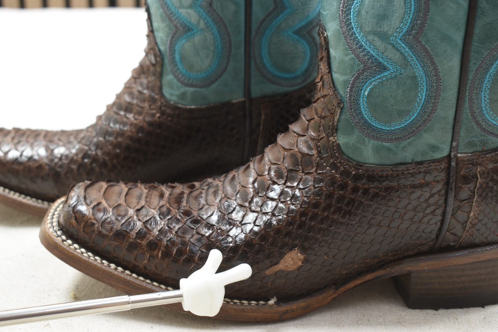 Circle G Ladies Chocolate / Blue Python Embroidery L6047 Size 7 M Western Leathe