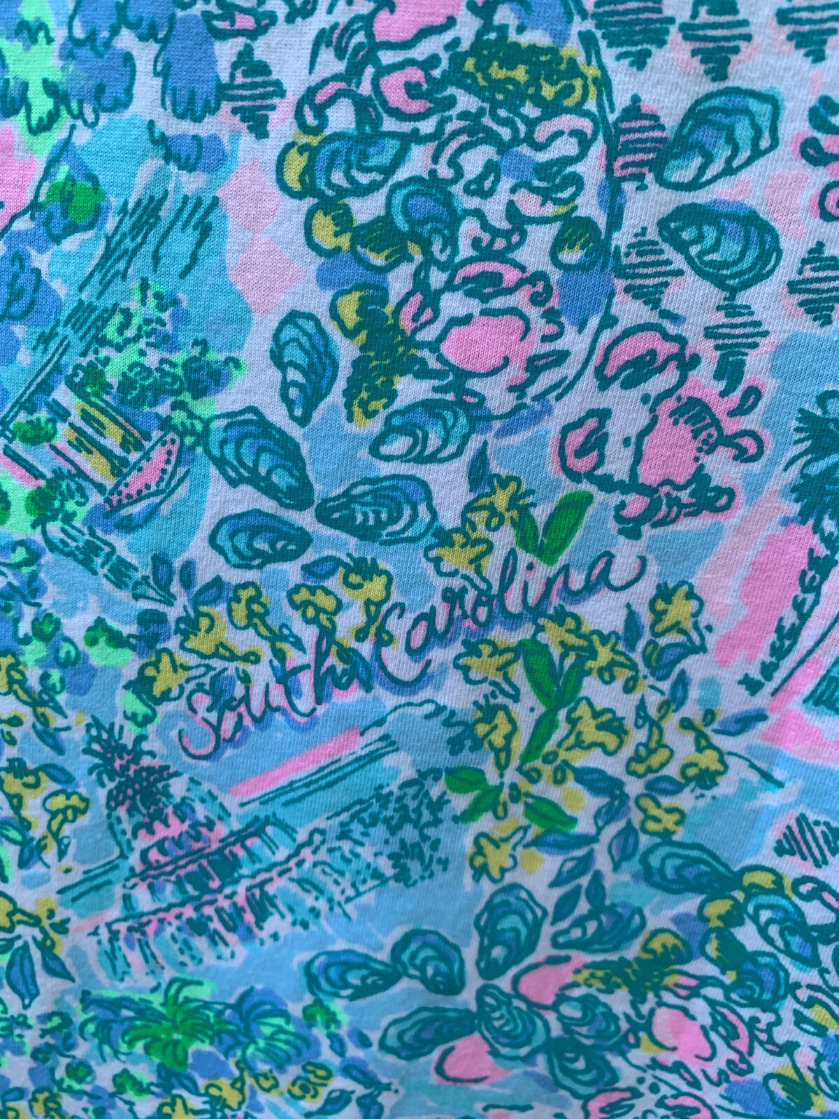 Lilly Pulitzer Kristen Dress Small Blue Lilly Loves South Carolina Sleeveless
