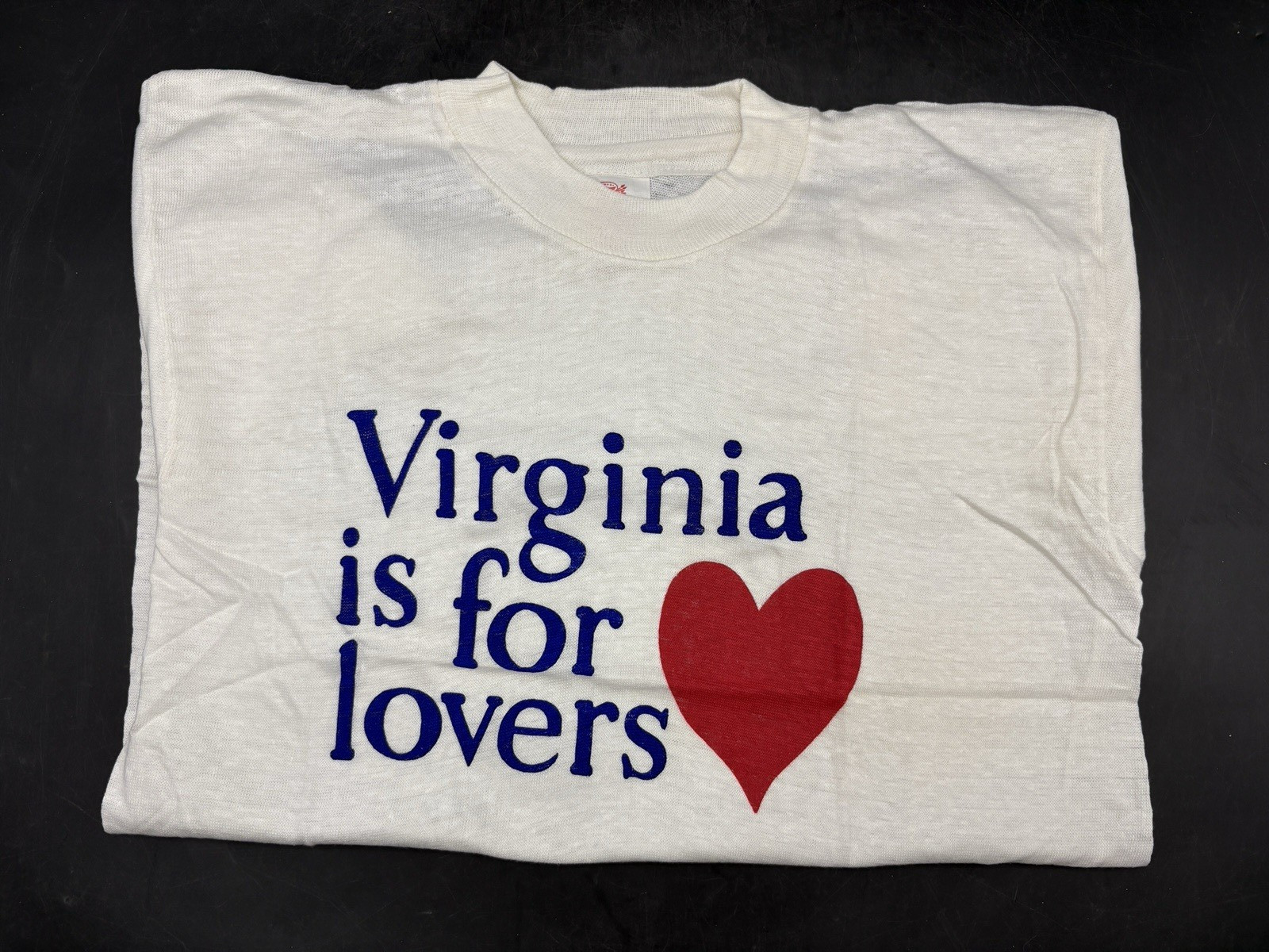 Vintage Retro 1970s Virginia Is For Lovers Dead Stock T Shirt Hanco Kids 14-16