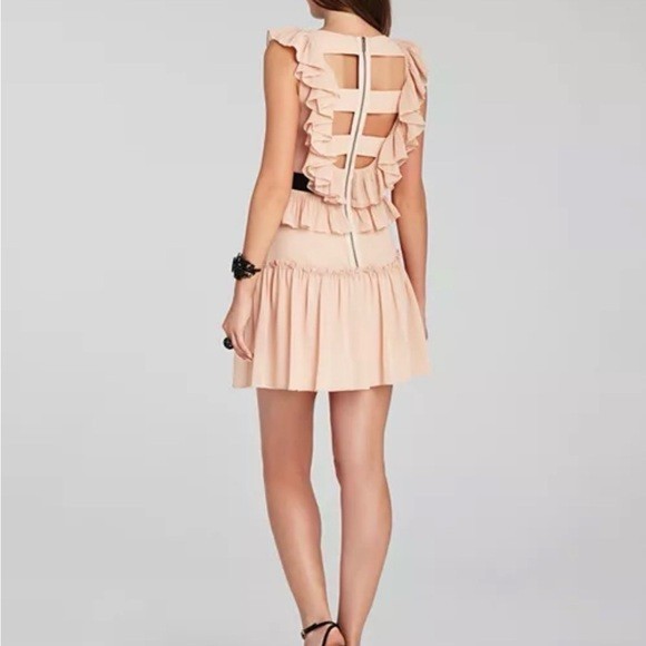 NWT BCBG MAXAZRIA SIZE 4 Britt Bare Pink Pleated Ruffle Back Cage Mini Dress