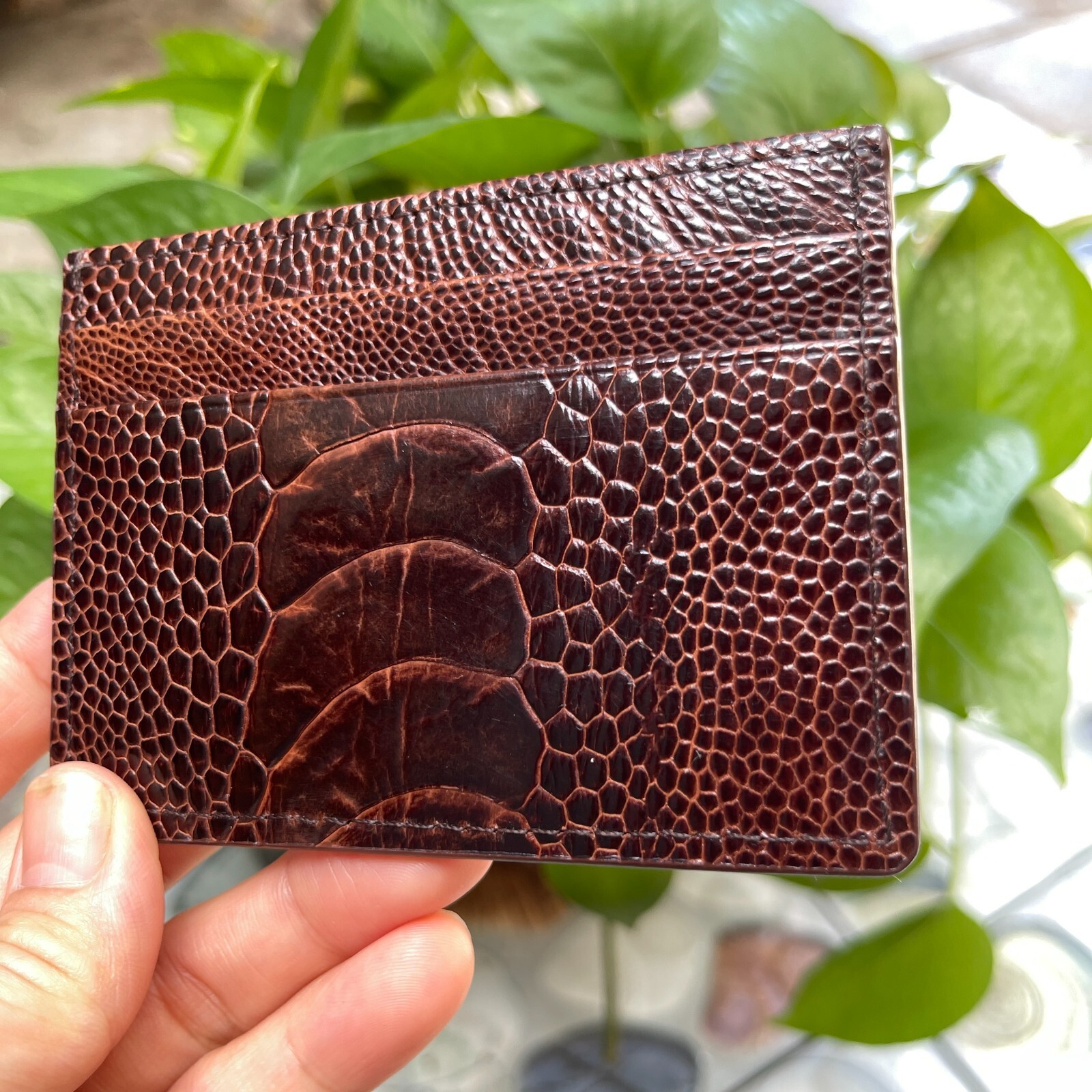 BrownGENUINE OSTRICH LEATHER SKIN CREDIT CARD HOLDER/ WALLET CARD HOLDER FOR MEN