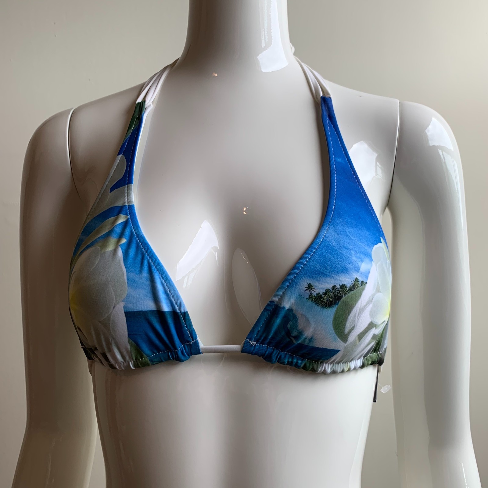 Aaron Chang plumeria white & blue floral reversible bikini