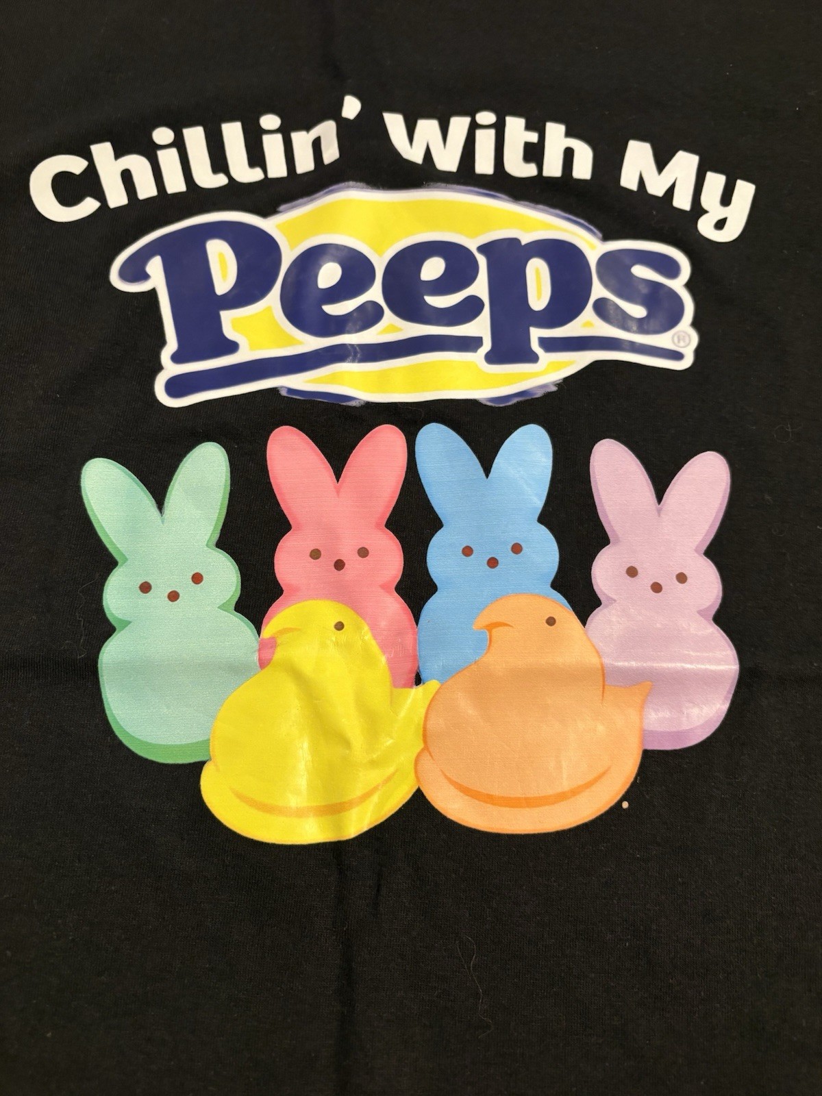 Chillin’ With My Peeps Graphic Print T-Shirt Black XL Crew Neck Easter