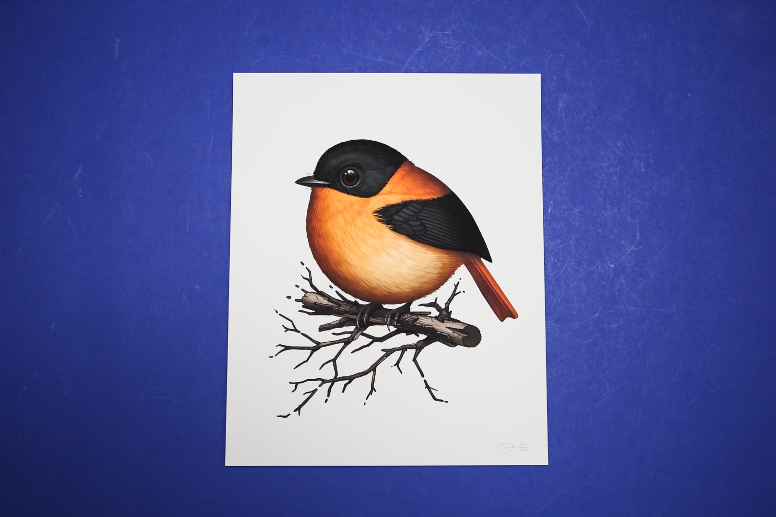 Mike Mitchell Fat Bird Black and Orange Flycatcher Mondo