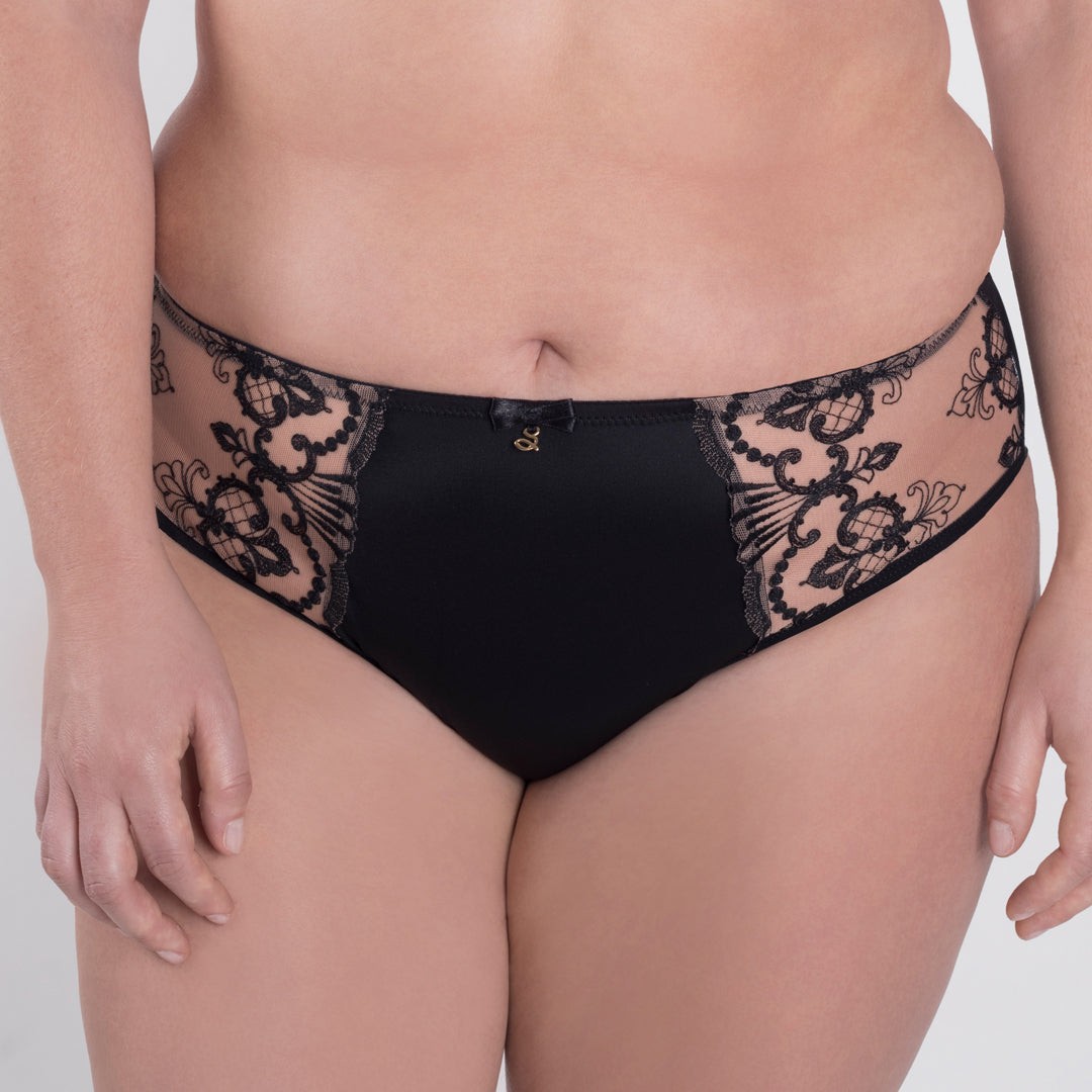 Samanta Perla Sheer Mesh Embroidered Brief Panty Womens Lingerie Black B400