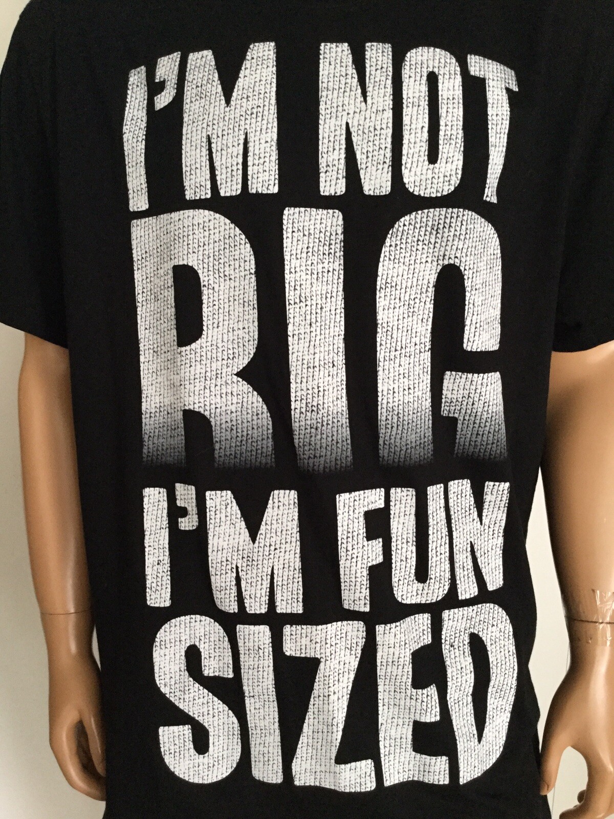 Hybrid Men’s I’m Not Big I’m Fun Sized T-Shirt Size 2XLT