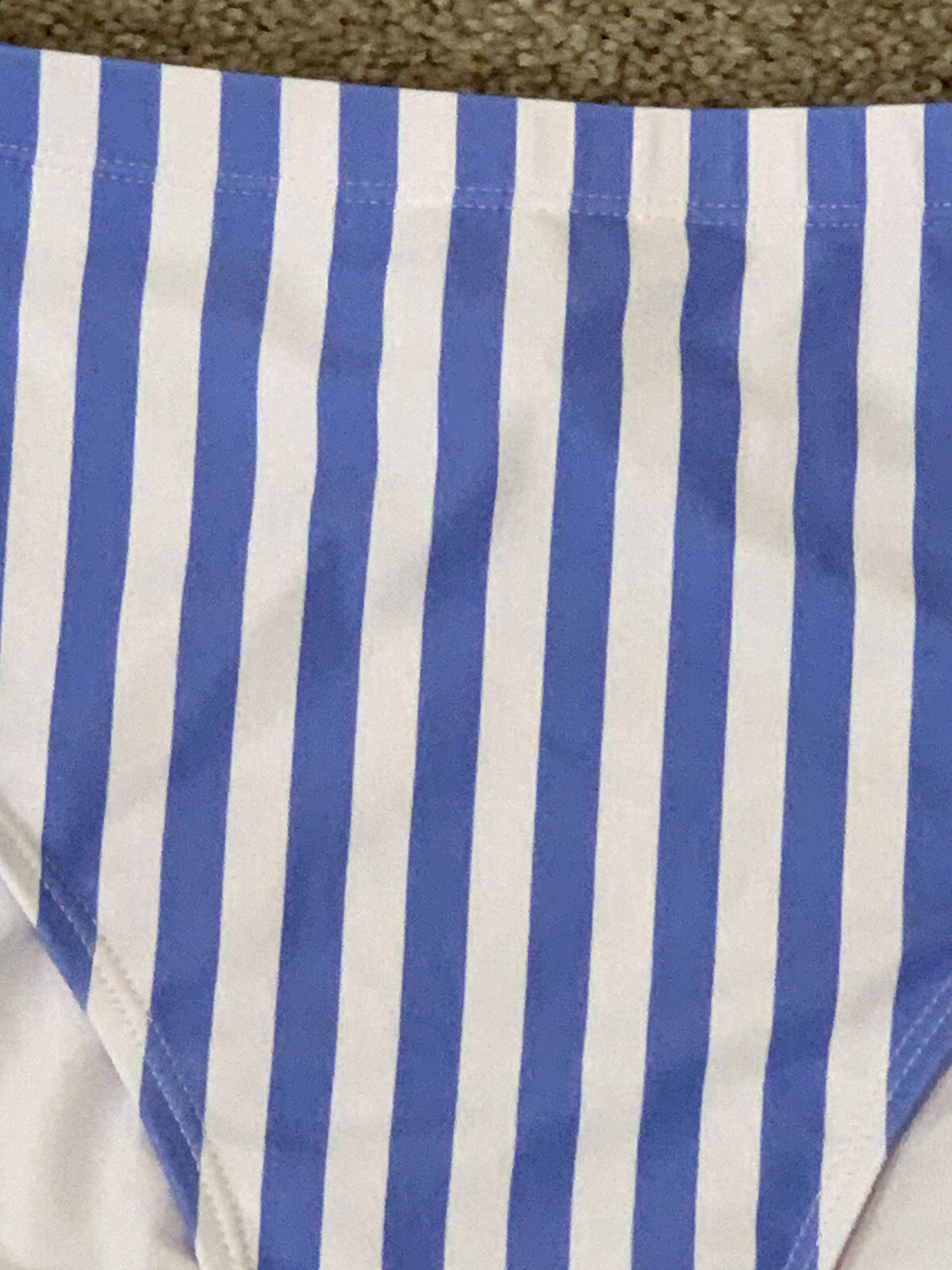 Bikini Bottom Womens Size S Blue Striped Bottoms Only Silky Swimsuit High Cut