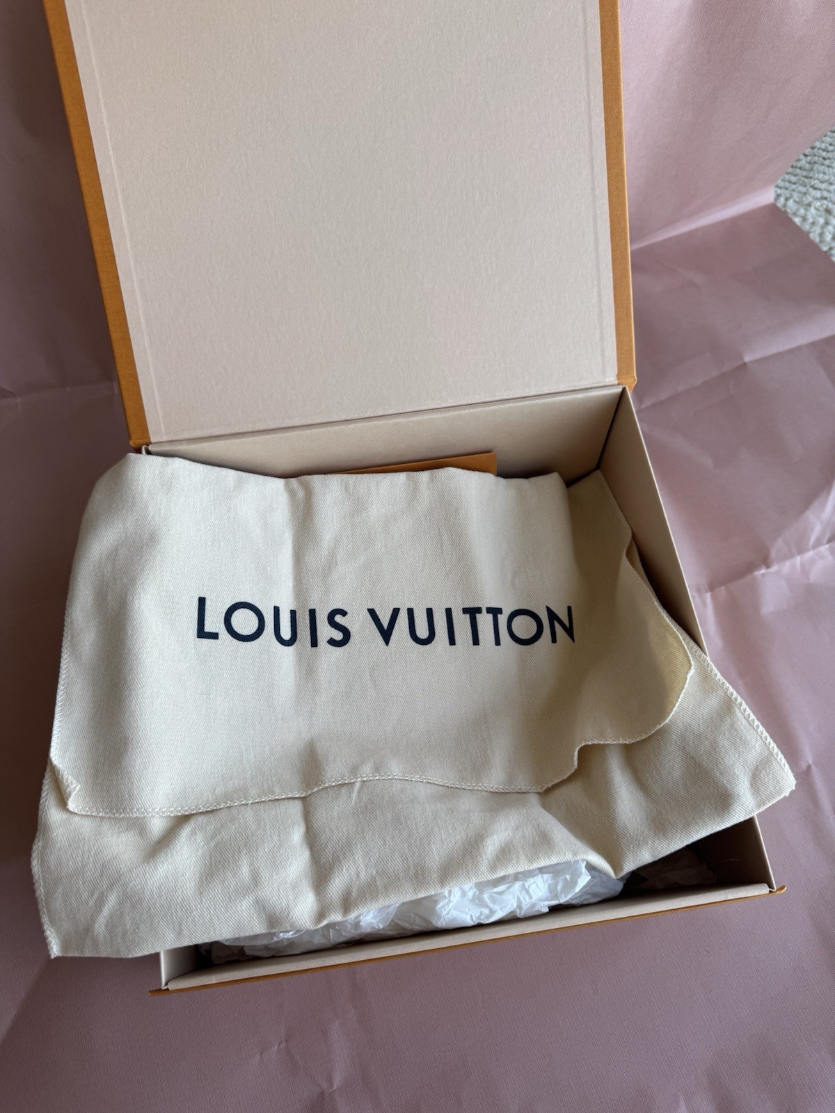 Louis Vuitton Palm Springs Backpack Mini Brown Canvas Monogram