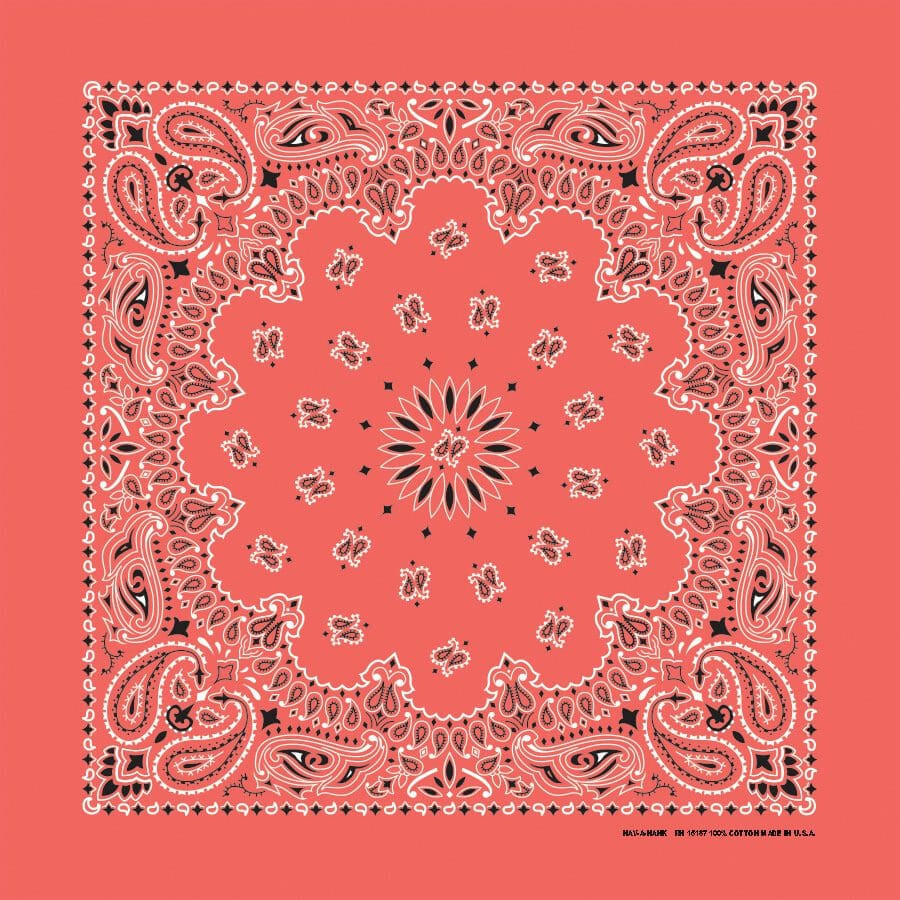 HAVAHANK 2-Sided Cotton PAISLEY BANDANNA BANDANA Head Neck Face Mask Wrap Scarf