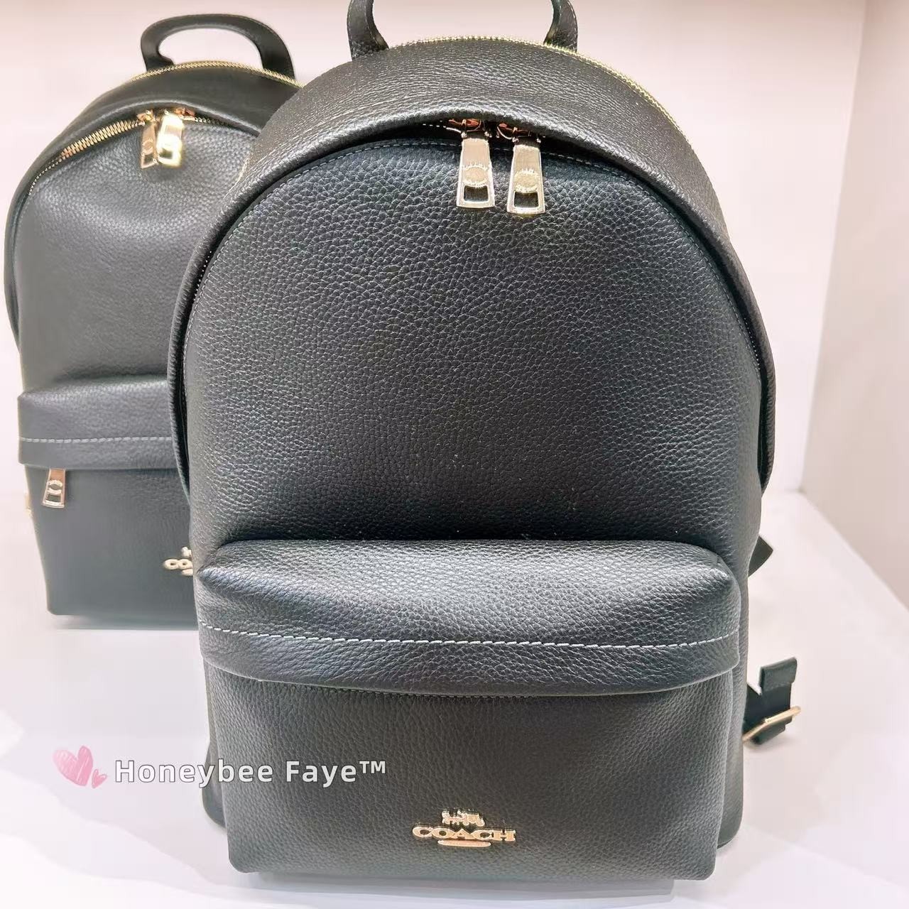 NWT Coach Taylor Small Backpack In Signature Canvas CDW76/CDW78/CEF46/CEF27