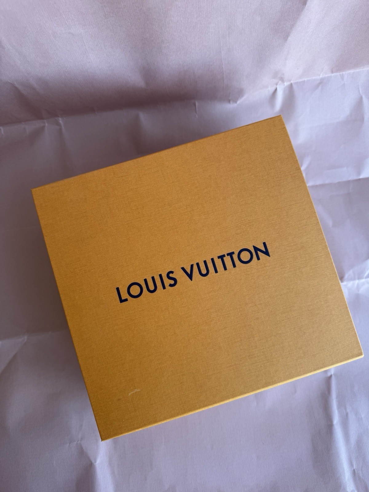 Louis Vuitton Palm Springs Backpack Mini Brown Canvas Monogram