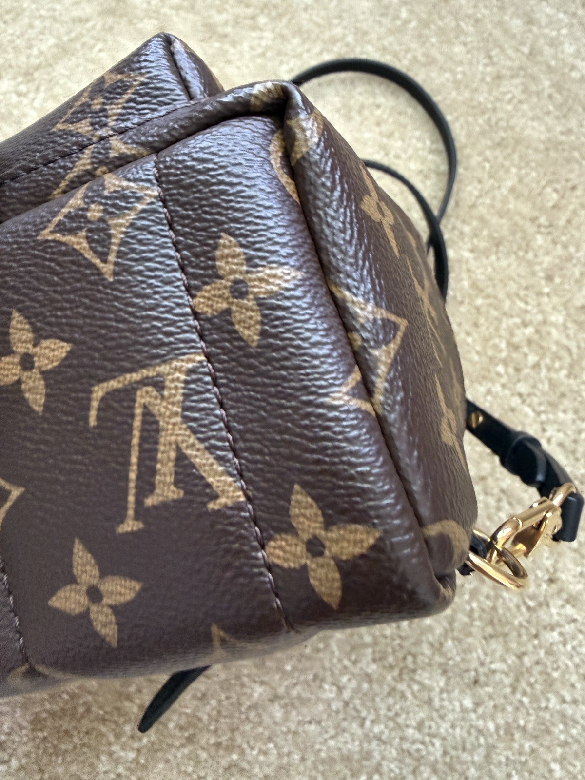 Louis Vuitton Palm Springs Backpack Mini Brown Canvas Monogram
